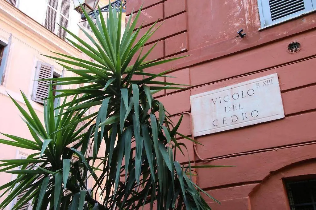 Cedro Home-1